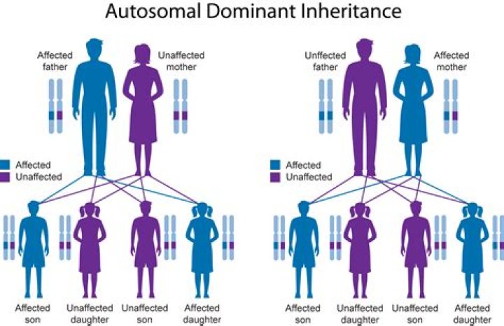 At does genetics mean?