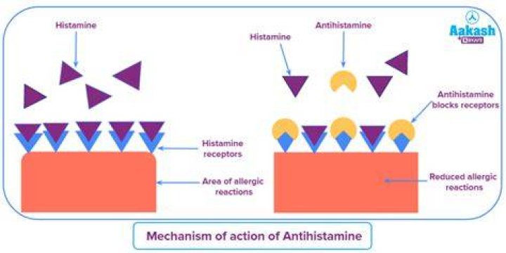 Do antihistamines actually work?