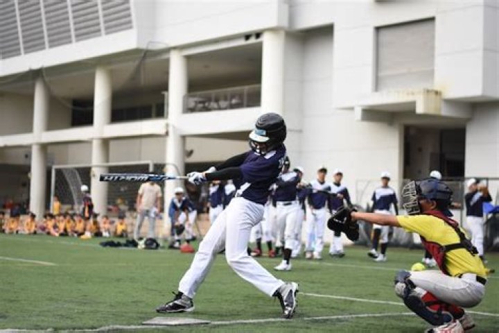 Do bunts count as hits?