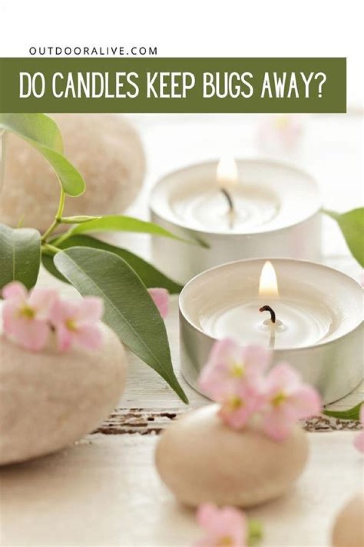 Do candles keep bugs away?