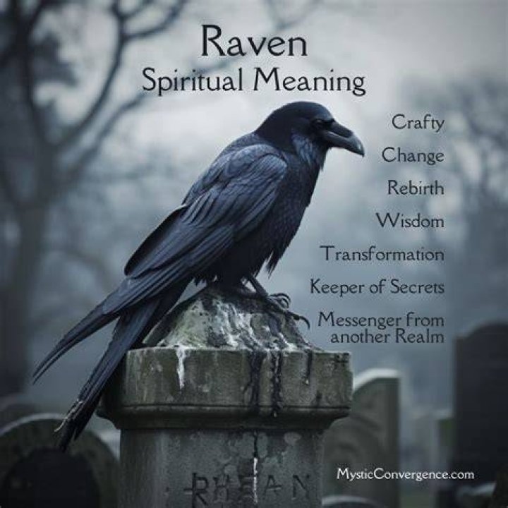 Do ravens remember kindness?