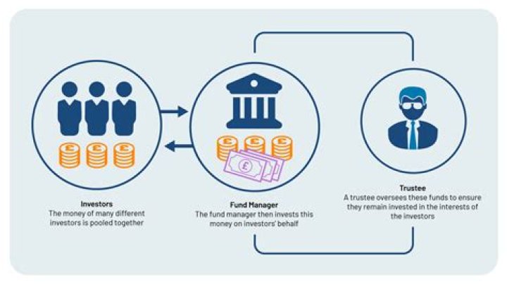 Does a unit trust have an appointor?