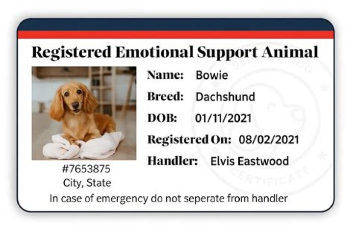 Does dog rose need support?