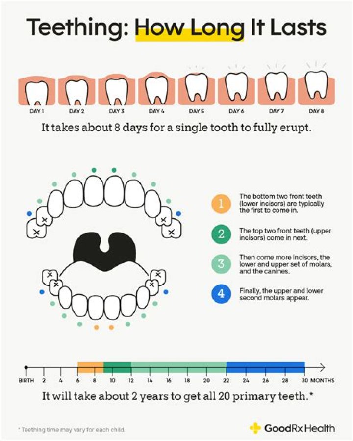 For how long does teething last?