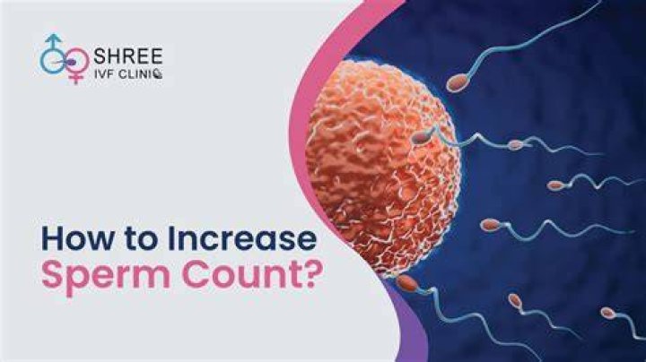 How increase sperm count?