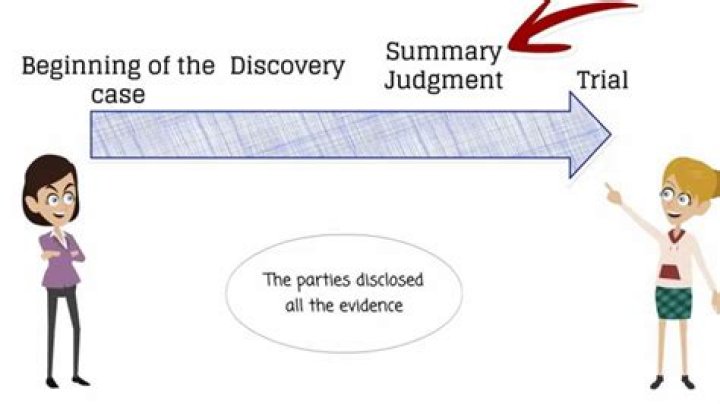 How is summary judgment?