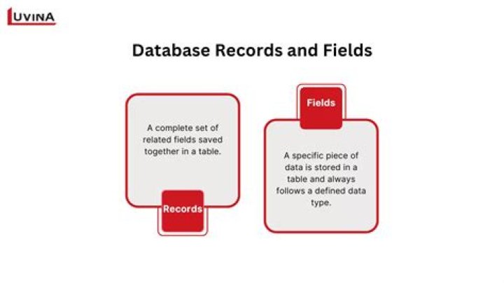In database a field is a?