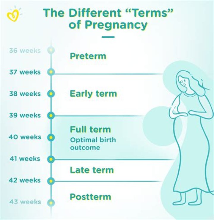 Is 38 weeks full term?