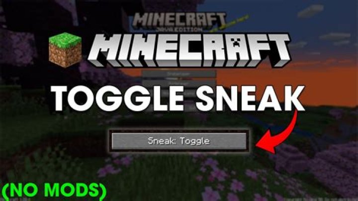 Is toggle sneak allowed on hypixel?