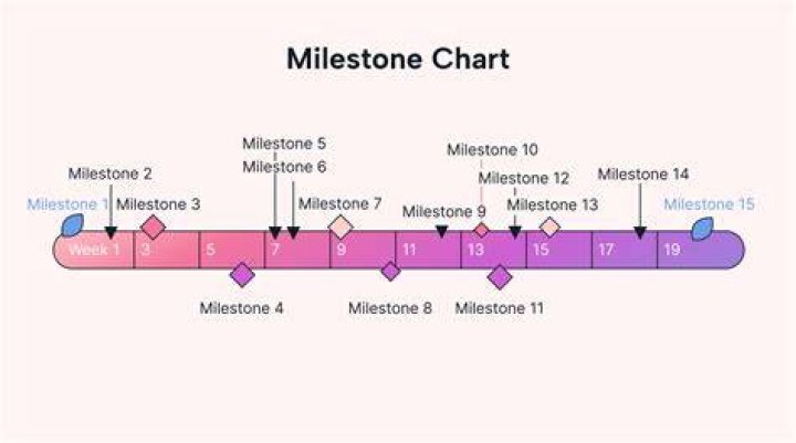 Was does milestone mean?