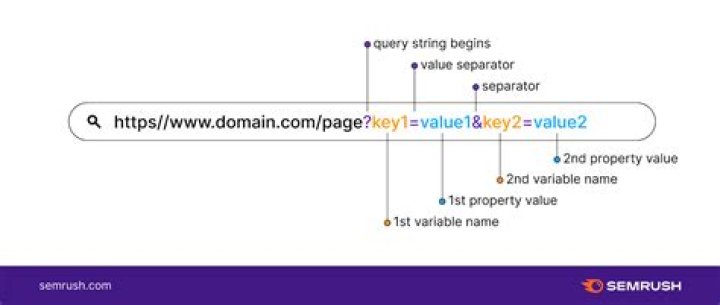 What are query parameters?