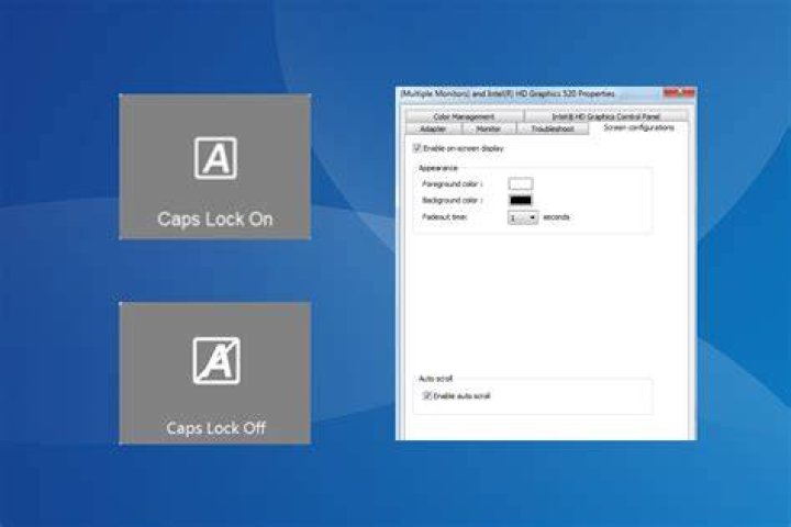 What does Enable Caps Lock do?