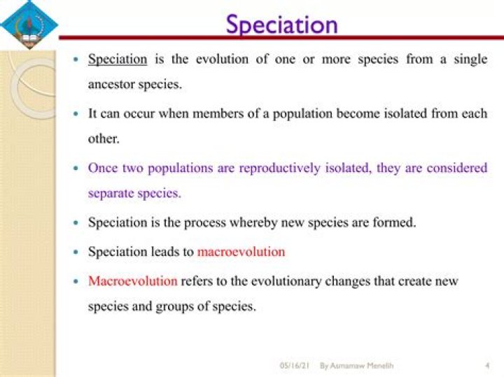 When can speciation occur?