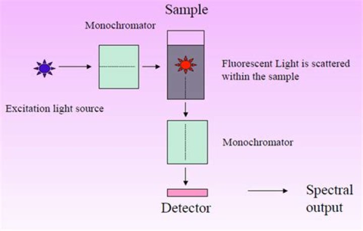 When to use spectrofluorometer?