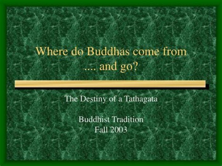 Where do buddhas come from?